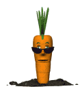 cc